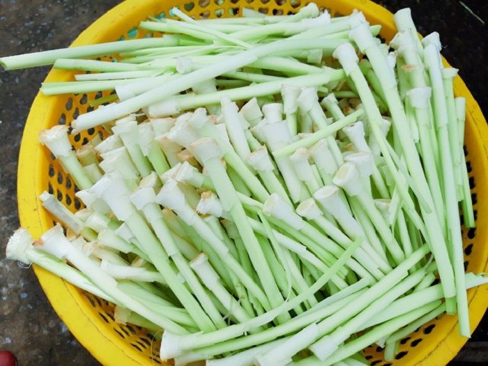 Bồn bồn - Hương vị tự nhiên của Đất Mũi