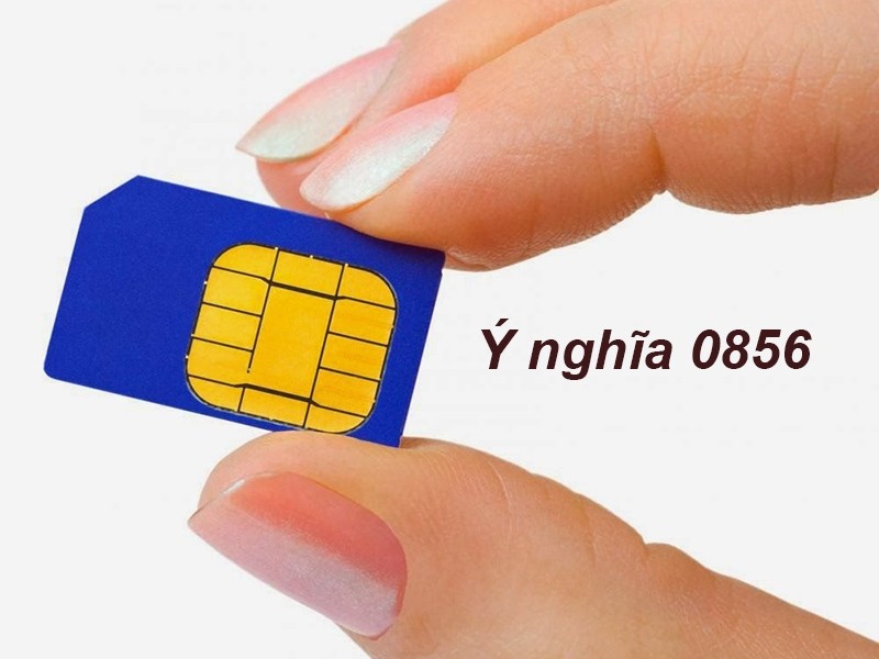 Bàn tay cầm sim điện thoại với các con số tượng trưng cho may mắn tài lộc như số 8, số 6