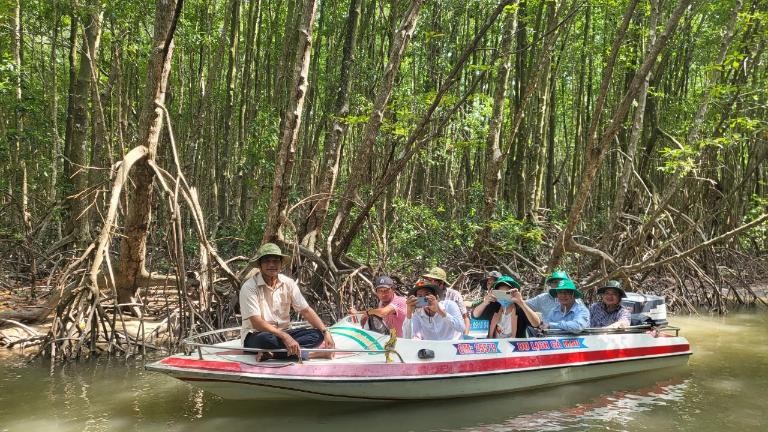Trải nghiệm đi thuyền trên rừng ngập mặn