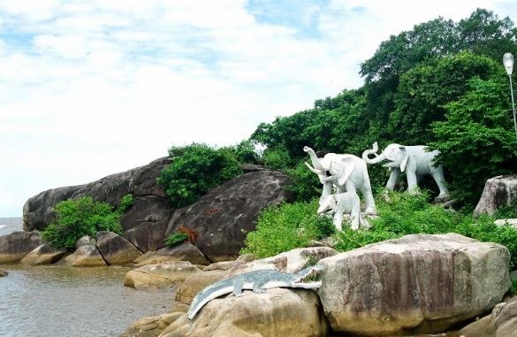 Hệ sinh thái rừng ngập mặn phong phú bao quanh Hòn Đá Bạc Cà Mau