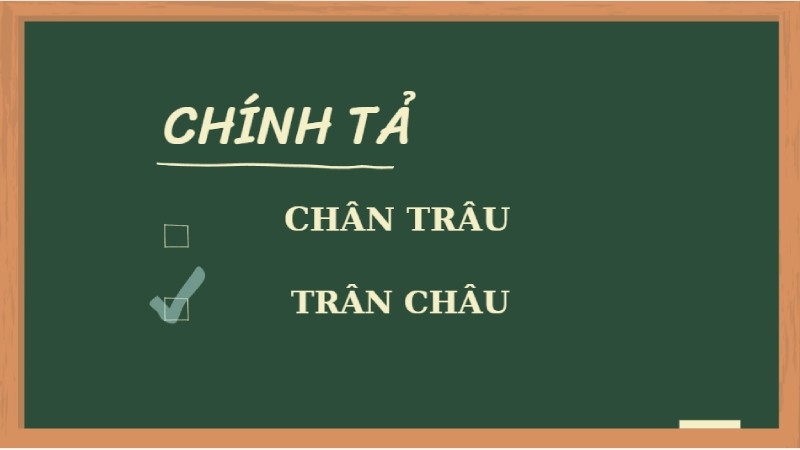 Hình ảnh minh họa hạt trân châu tròn đen hấp dẫn trong ly trà sữa
