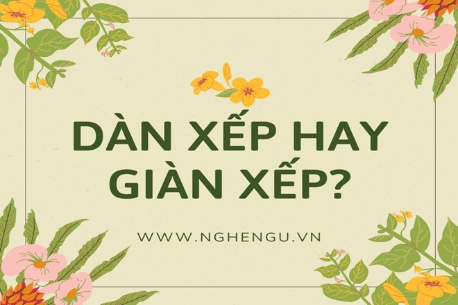 Người đang suy nghĩ về sự khác biệt giữa dàn xếp và giàn xếp