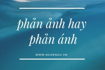 Phản ảnh hay phản ánh? Lỗi chính tả dễ gặp cần được hiểu rõ