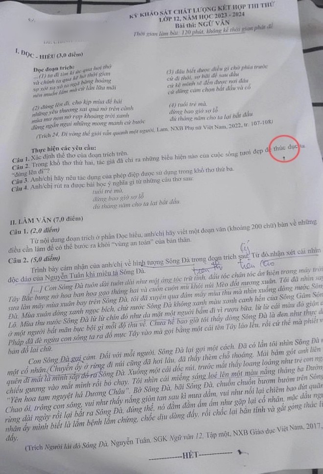 Đề thi Ngữ văn có từ "thúc dục" gây xôn xao dư luận